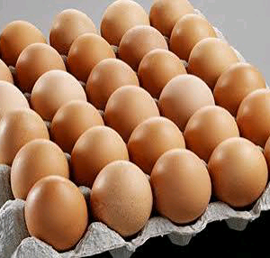 A close-up view of a fresh, sturdy crate filled with hand-selected Arezom Fresh farm eggs, showcasing clean shells and premium grading.